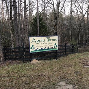 agulu farms